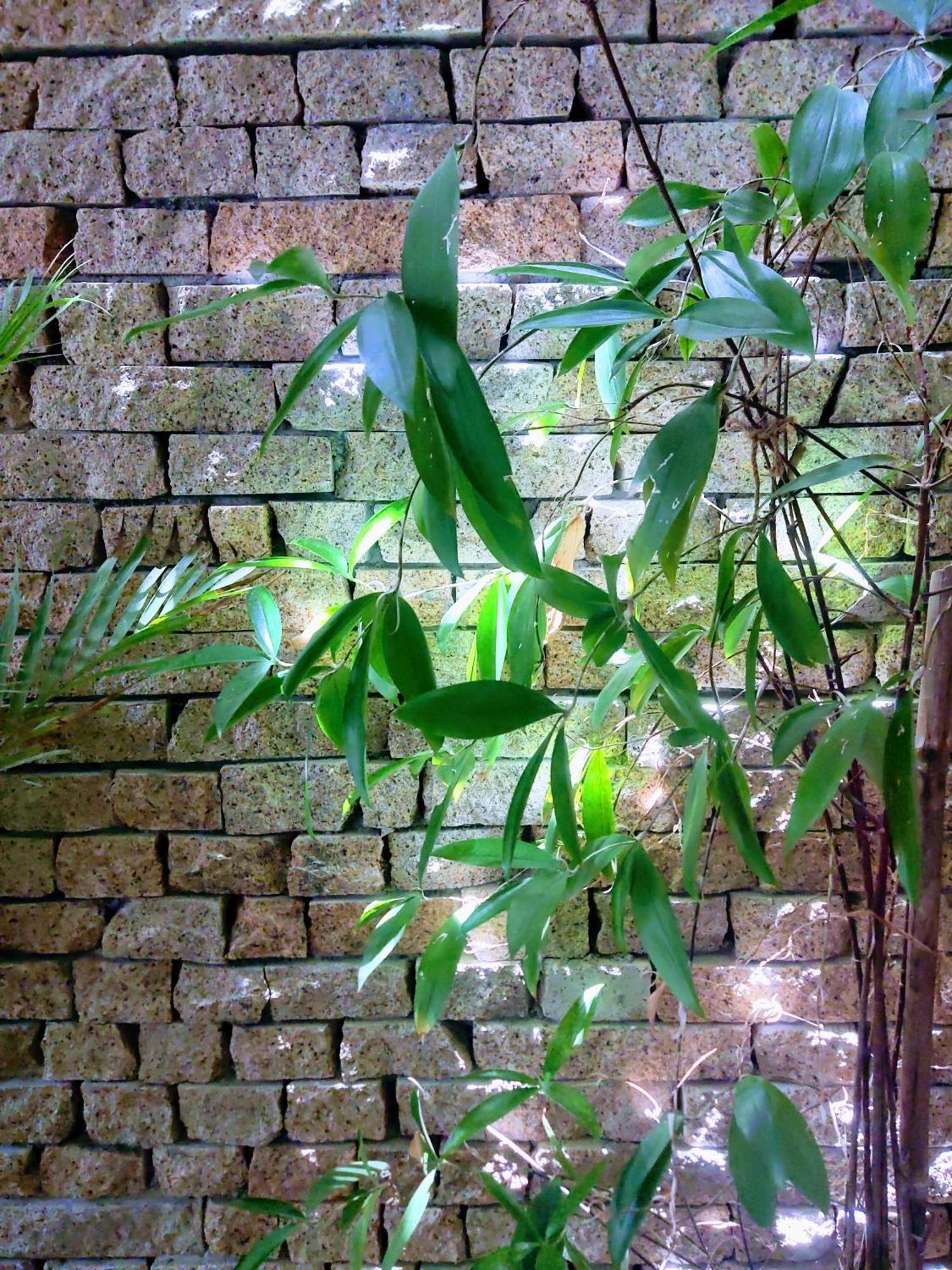 Nap Homestay Kinh Dinh Exterior photo