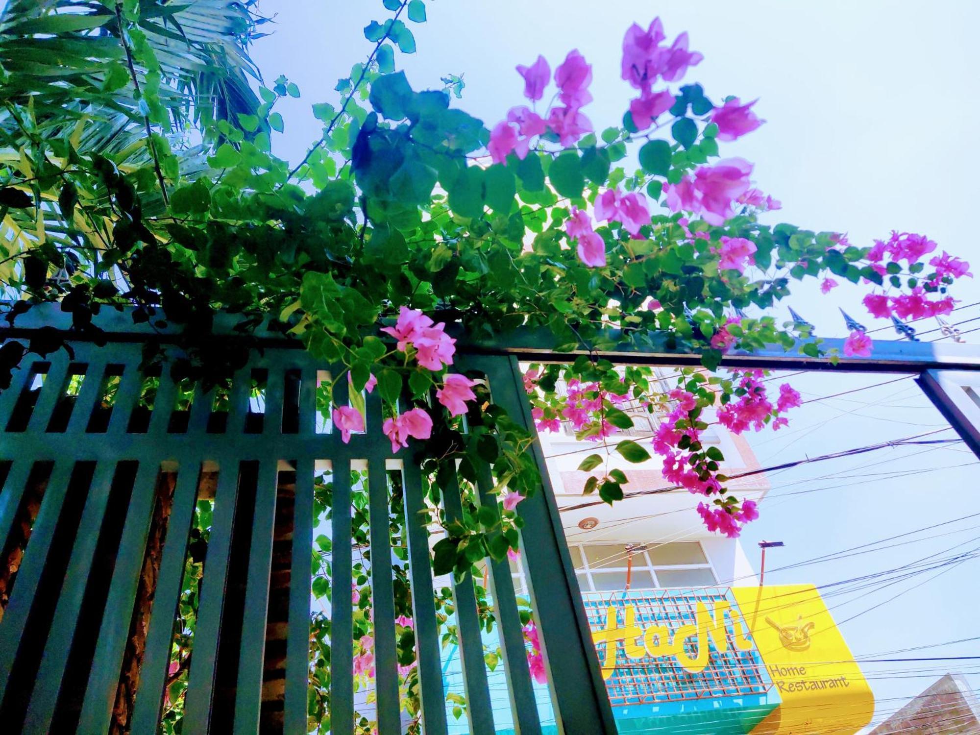 Nap Homestay Kinh Dinh Exterior photo